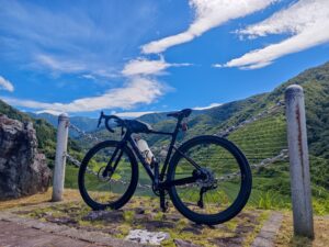 自転車乗ったり